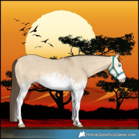 Horse Color:White Spotted Sable Cream Champagne Dun Rabicano 