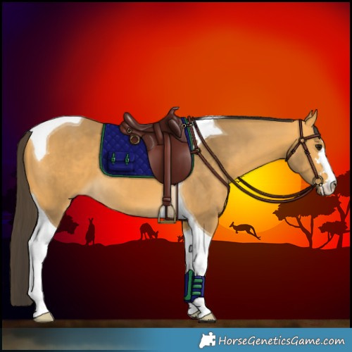 Horse Color:Buckskin Tobiano 