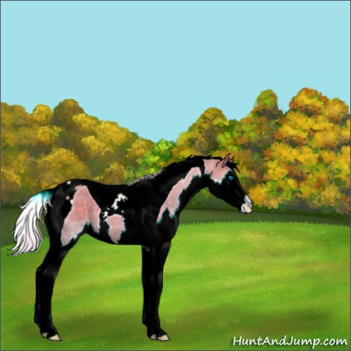 Horse Color:Watercolor Silver Smoky Grullo Splash Tobiano 
