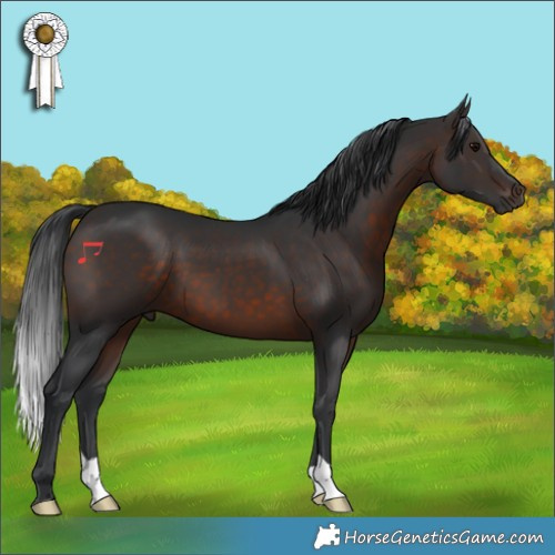 Horse Color:Brown 