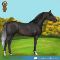 Horse Color:Brown 