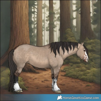 Horse Color:Brown Dun  and Bay Dun 