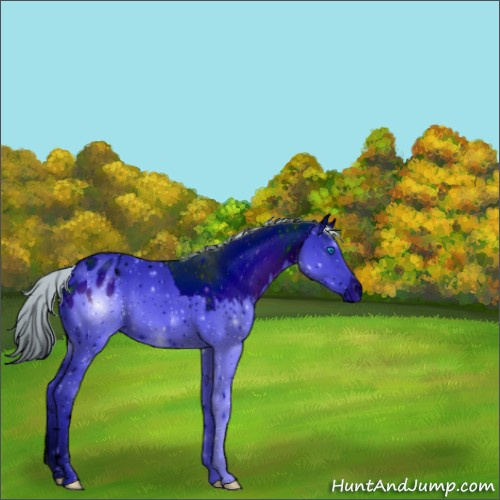 Horse Color:ERROR: UNKNOWN ANOMALY