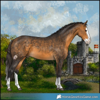 Horse Color:Buckskin Splash 