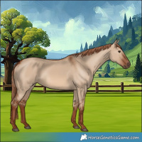 Horse Color:Red Dun 