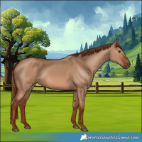 Horse Color:Red Dun 