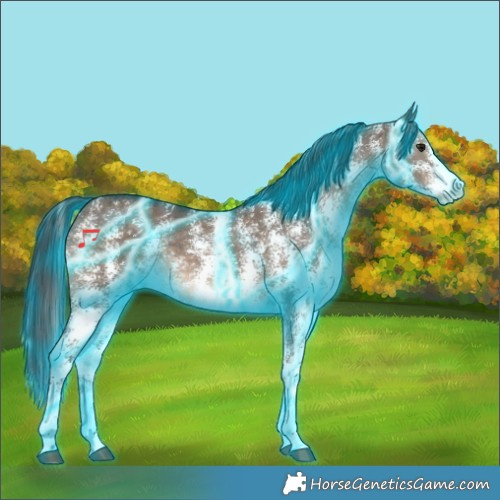 Horse Color:Thunderstruck Brown Dun Sabino 