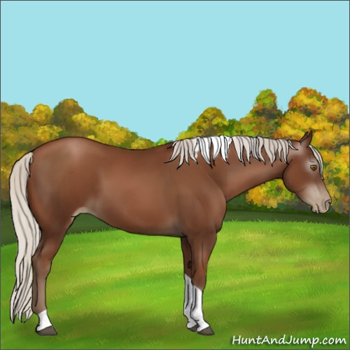 Horse Color:Gray Silver Black Pearl Tobiano 