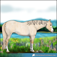 Horse Color:Palomino Roan Dun 
