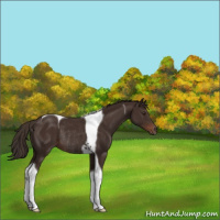 Horse Color:Liver Chestnut Tobiano Rabicano 