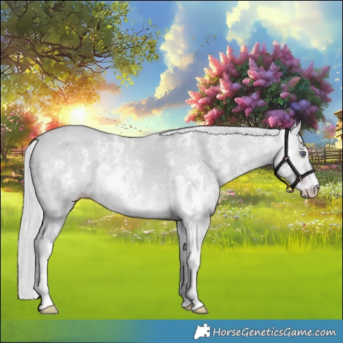 Horse Color:Silver Amber Champagne Chinchilla Sabino 