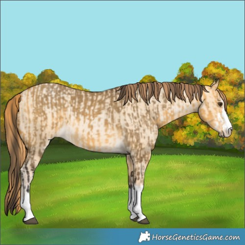 Horse Color:Buckskin Dun  and Buckskin Pearl Dun 