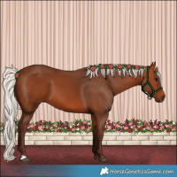 Horse Color:Silver Bay 