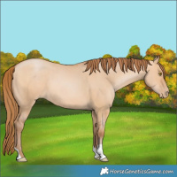 Horse Color:Bay Pearl Dun