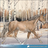 Horse Color:Chocolate Palomino Pearl Sabino