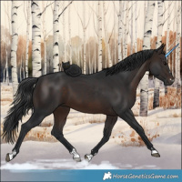 Horse Color:Brown 