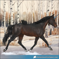 Horse Color:Brown 