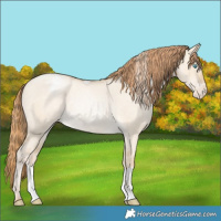 Horse Color:Buckskin Roan Pearl Dun Appaloosa Rabicano 