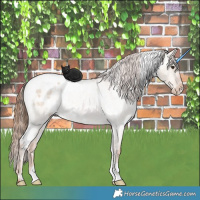 Horse Color:White Spotted Red Dun Roan Varnish