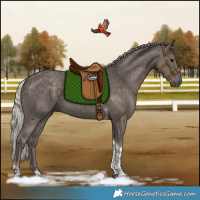 Horse Color:Silver Black Tobiano Rabicano