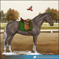 Horse Color:Silver Black Tobiano Rabicano