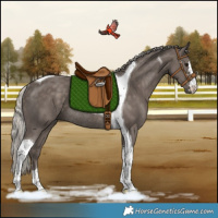 Horse Color:Silver Black Tobiano Rabicano 