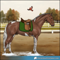 Horse Color:Silver Black Tobiano Rabicano 
