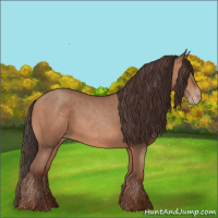 Horse Color:Sable Champagne 