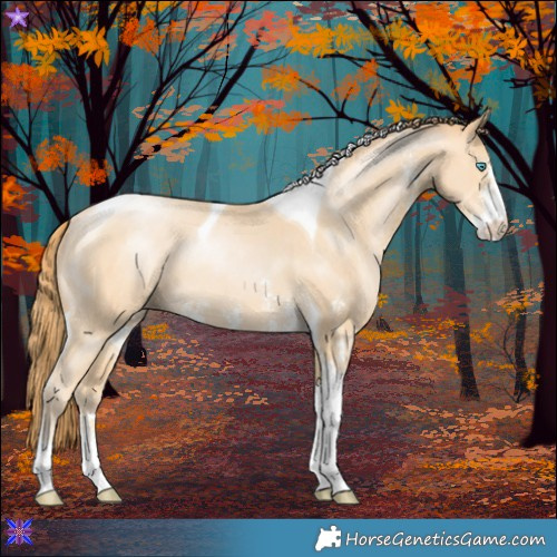 Horse Color:Buckskin Pearl Sabino Tobiano