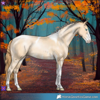 Horse Color:Buckskin Pearl Sabino Tobiano 