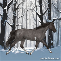 Horse Color:Liver Red Roan Tobiano