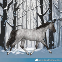 Horse Color:Liver Red Roan Tobiano