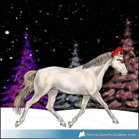 Horse Color:Buckskin Pearl Sabino 