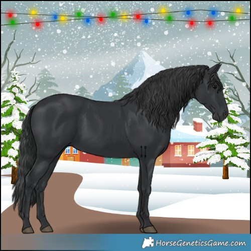 Horse Color:Black 