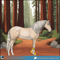 Horse Color:Palomino Pearl Sabino