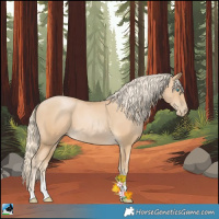 Horse Color:Palomino Pearl Sabino 
