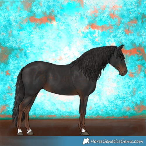Horse Color:Liver Chestnut 