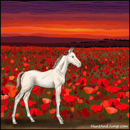 Horse Color:Buckskin Pearl Sabino 