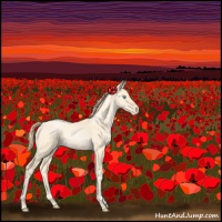 Horse Color:Buckskin Pearl Sabino 