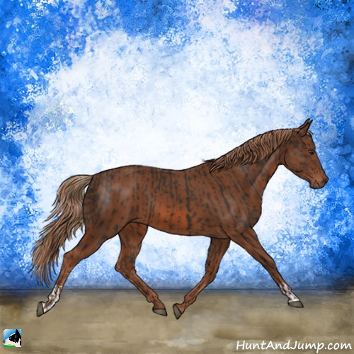 Horse Color:Liver Chestnut and Chestnut
