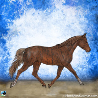 Horse Color:Liver Chestnut  and Chestnut 
