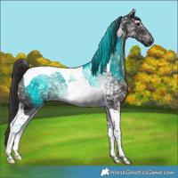 Horse Color:Smoky Black Ice Tobiano 