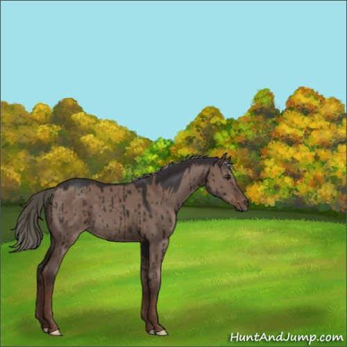 Horse Color:Liver Red Dun Mushroom Brindle 