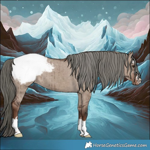 Horse Color:Liver Red Dun Mushroom Appaloosa Brindle 
