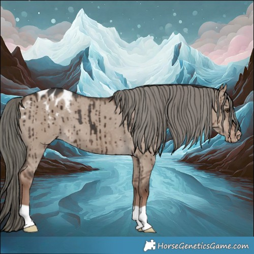 Horse Color:Liver Red Dun Mushroom Appaloosa Brindle 