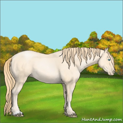 Horse Color:Buckskin Pearl Sabino 