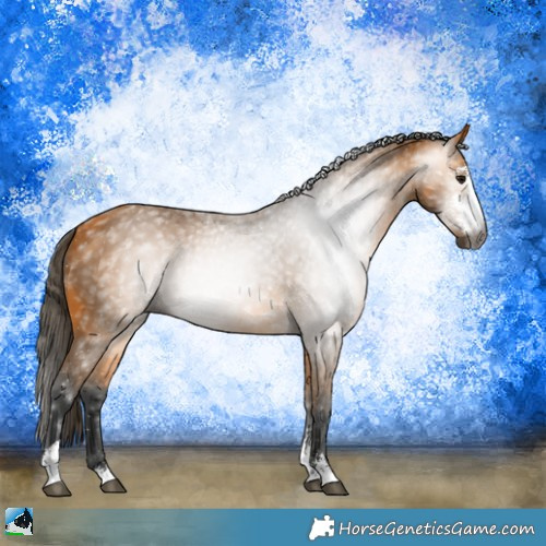 Horse Color:Gray Buckskin Sabino