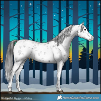 Horse Color:White Spotted Black Sabino 