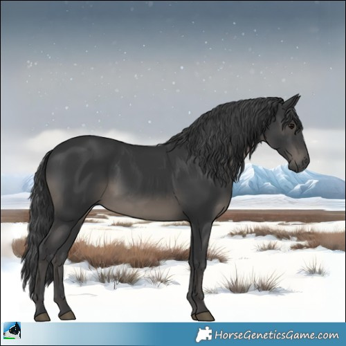 Horse Color:Black Rabicano
