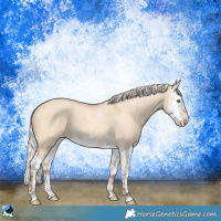 Horse Color:Silver Amber Champagne Dun Splash 